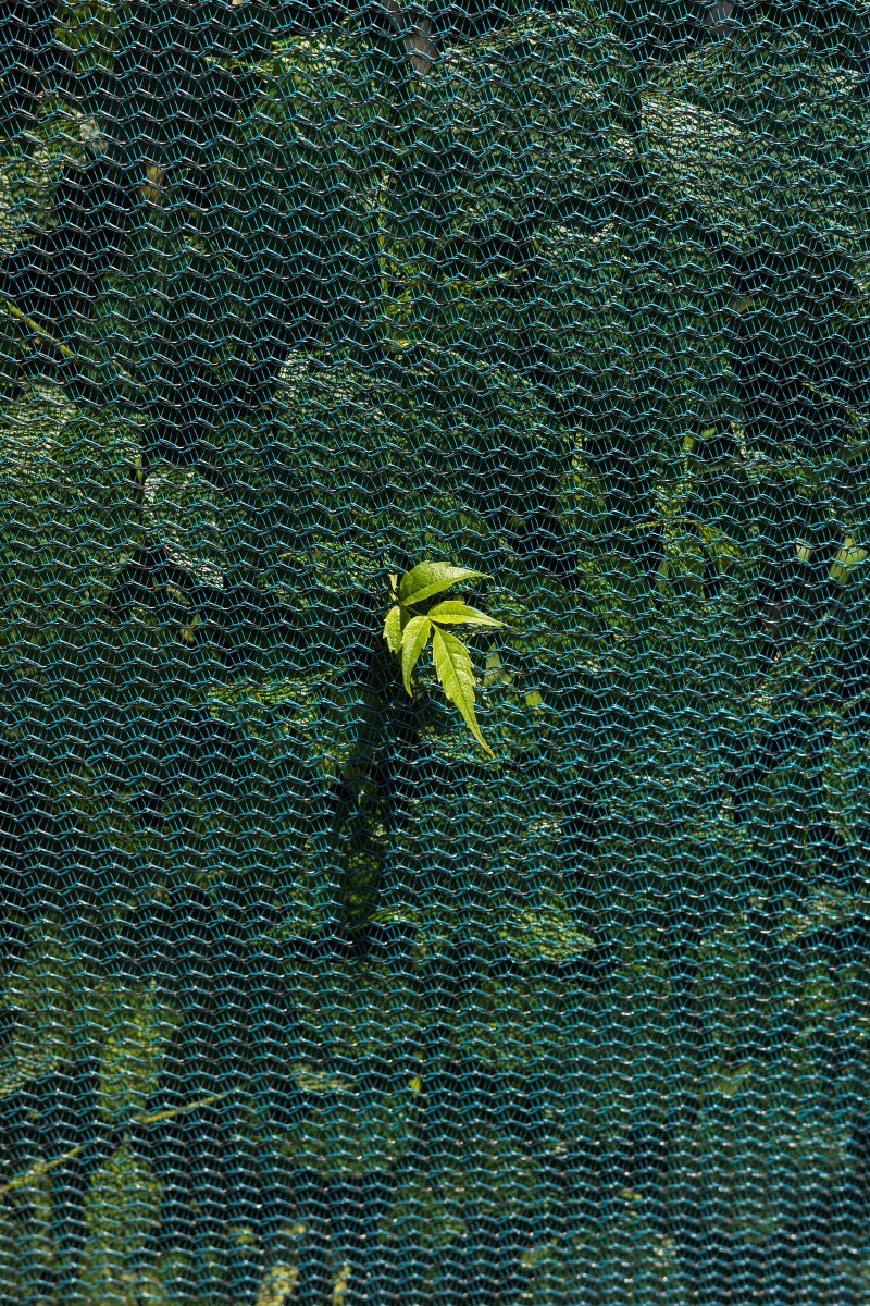 July 2025 - Journal by Tudor Prisăcariu
