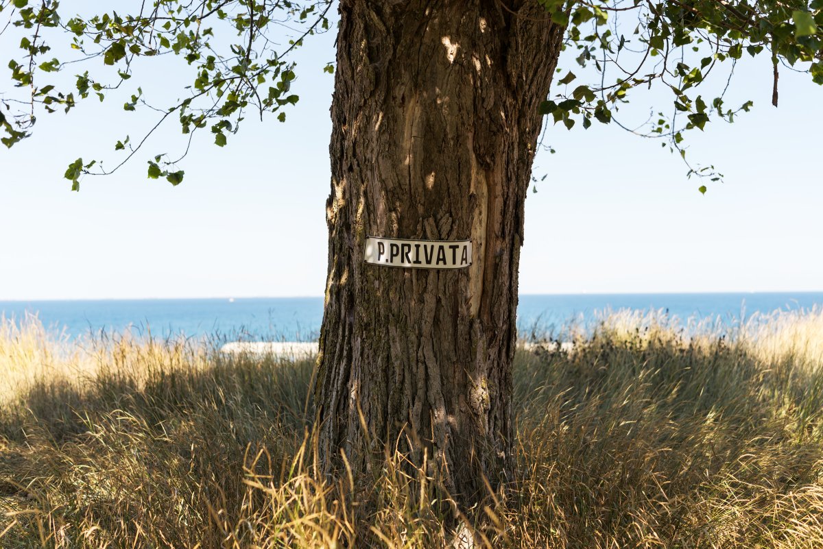 August 2025 - Journal by Tudor Prisăcariu