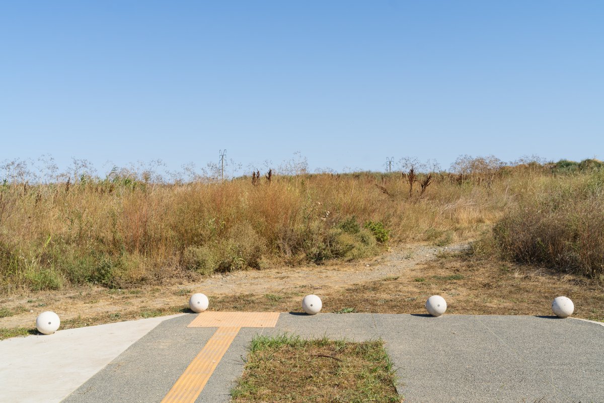 August 2025 - Journal by Tudor Prisăcariu