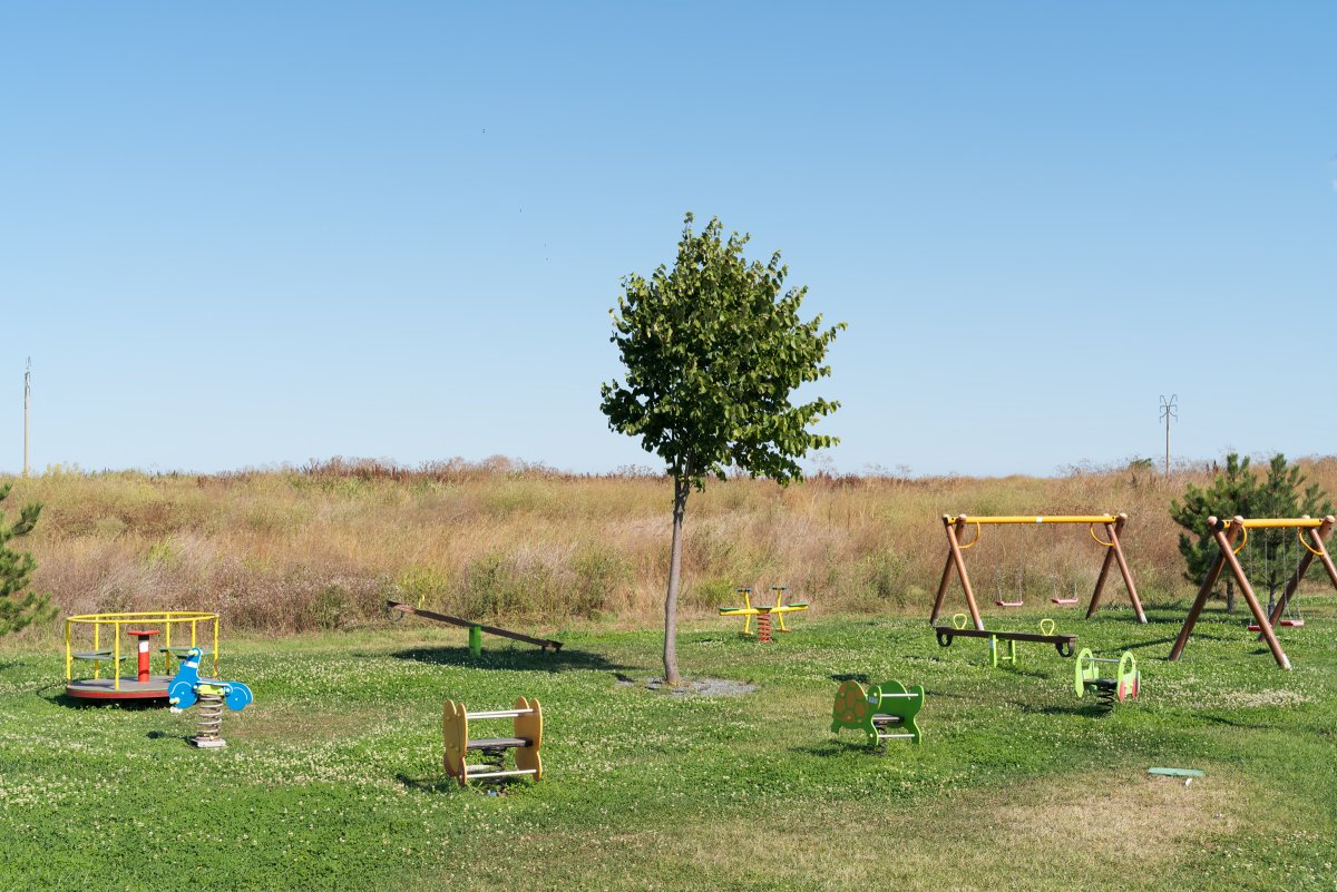 August 2025 - Journal by Tudor Prisăcariu