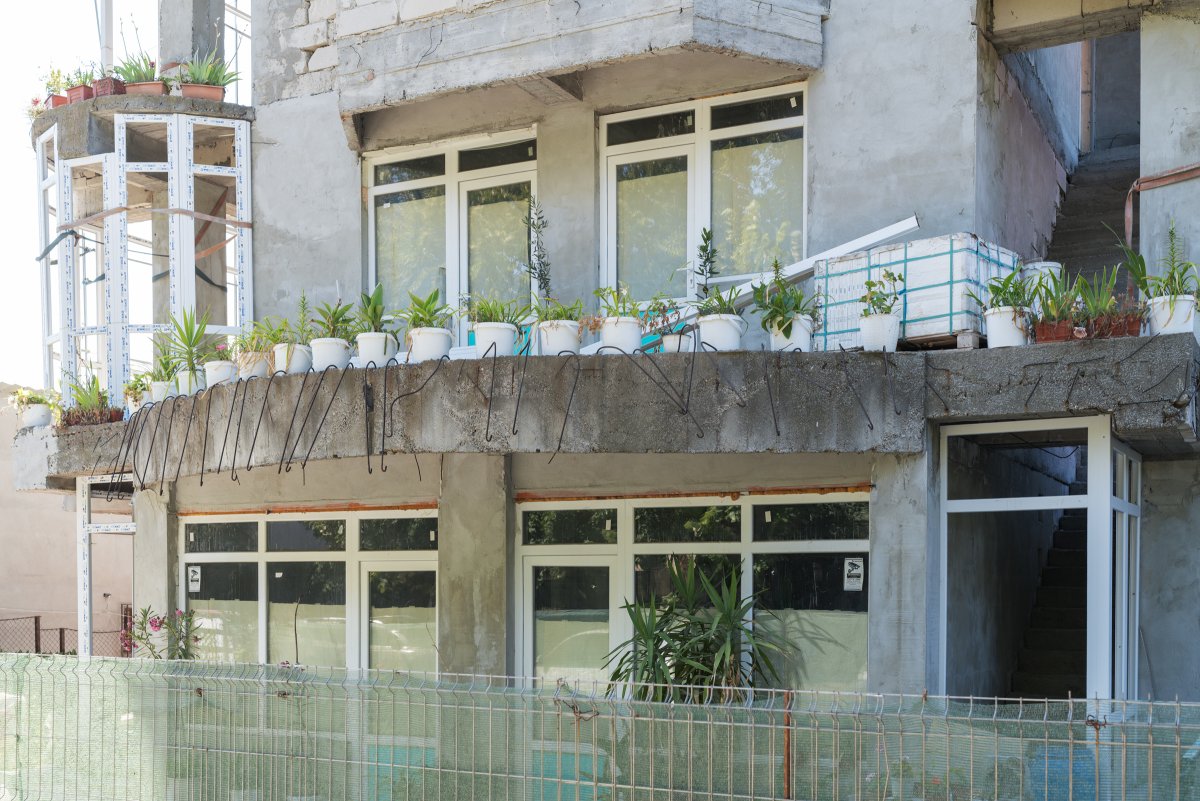 August 2025 - Journal by Tudor Prisăcariu