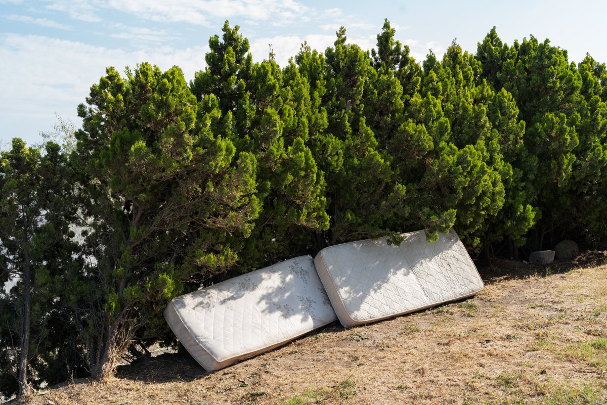 August 2025 - Journal by Tudor Prisăcariu