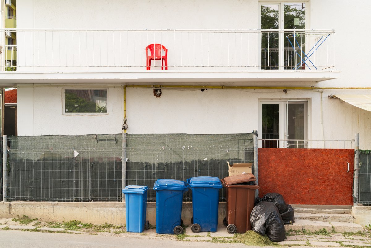 August 2025 - Journal by Tudor Prisăcariu