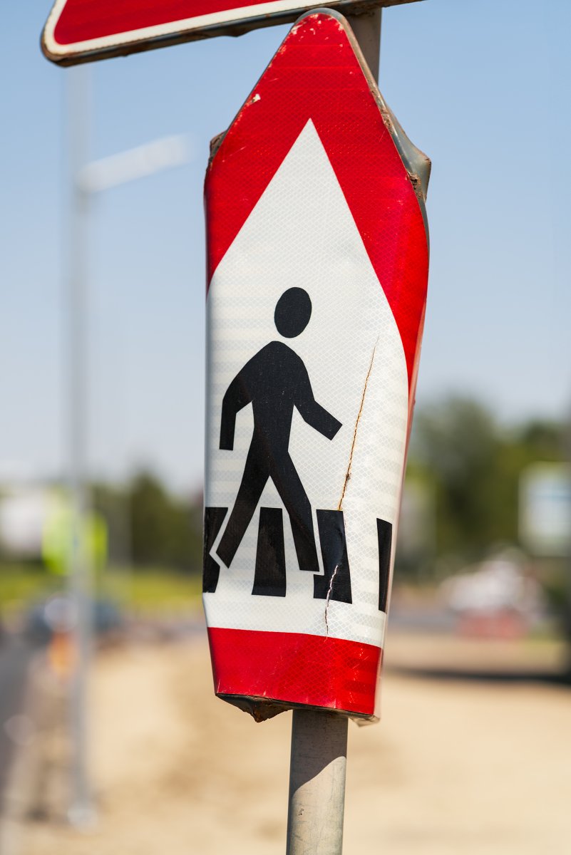 August 2025 - Journal by Tudor Prisăcariu