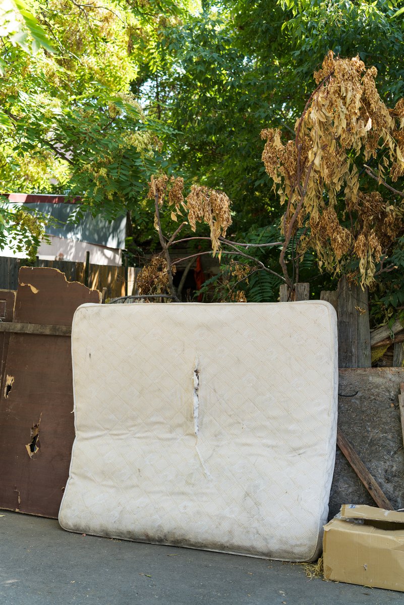 August 2025 - Journal by Tudor Prisăcariu