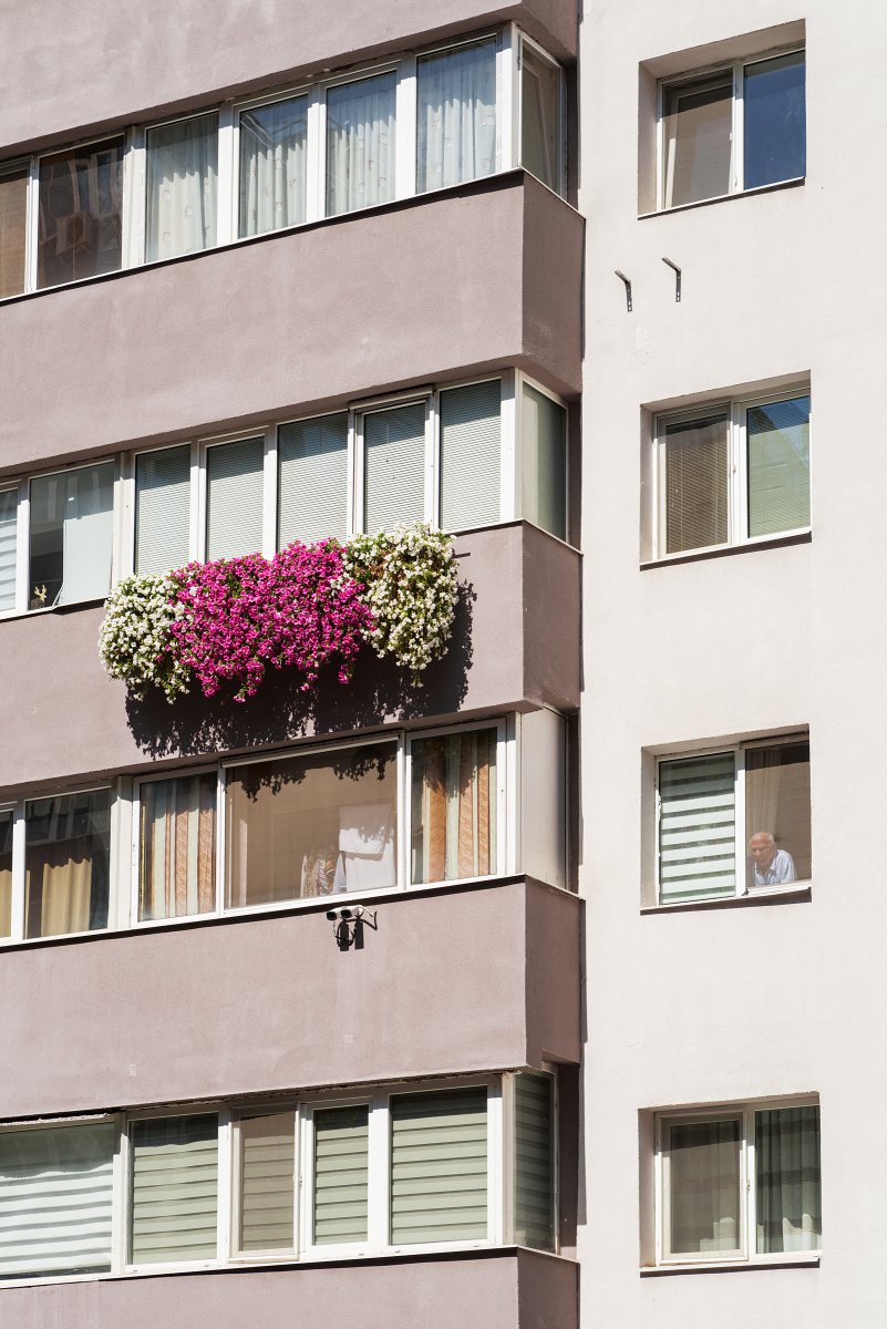 September 2025 - Journal by Tudor Prisăcariu