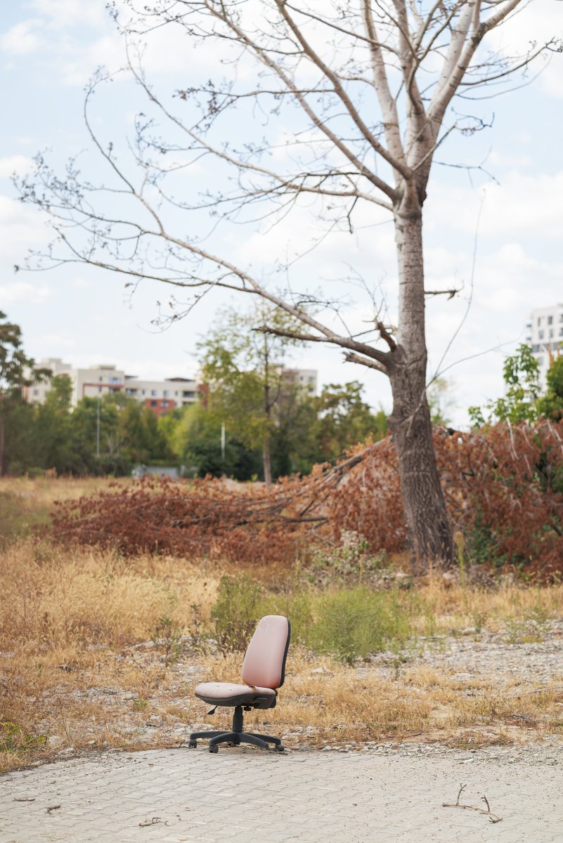 September 2025 - Journal by Tudor Prisăcariu