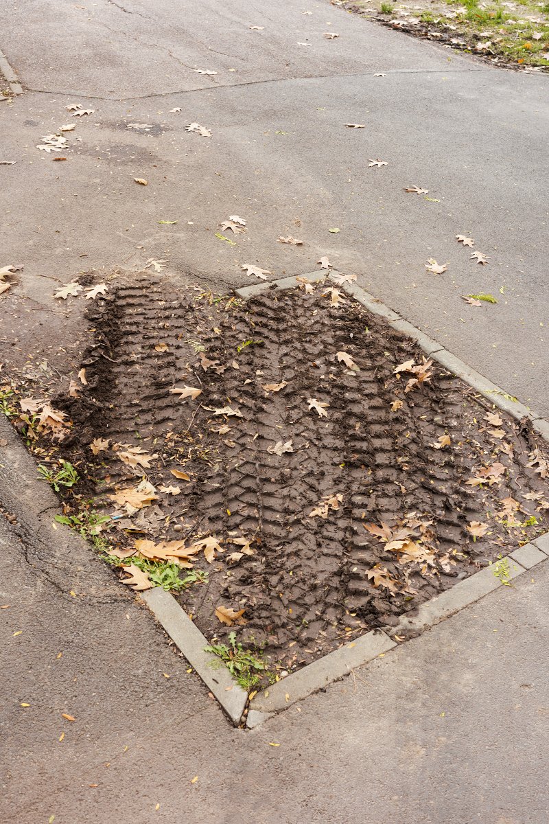 October 2025 - Journal by Tudor Prisăcariu