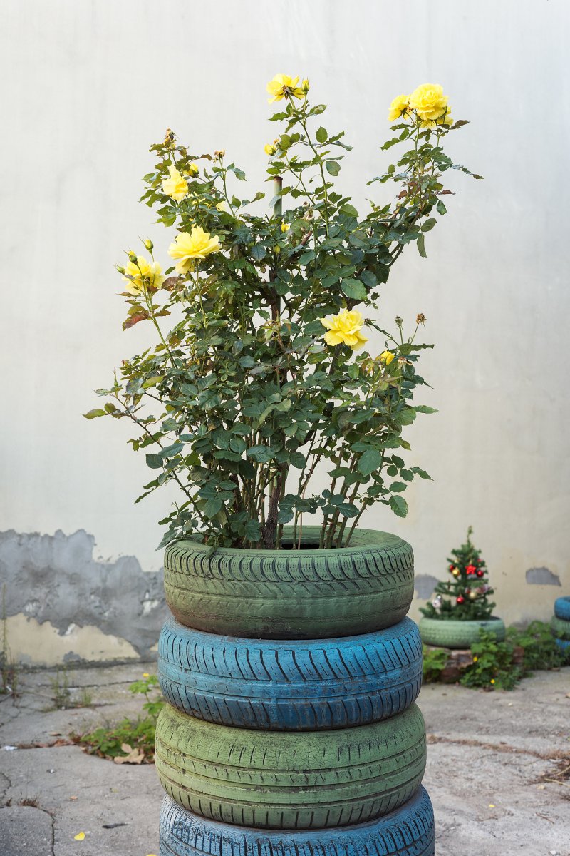 October 2025 - Journal by Tudor Prisăcariu