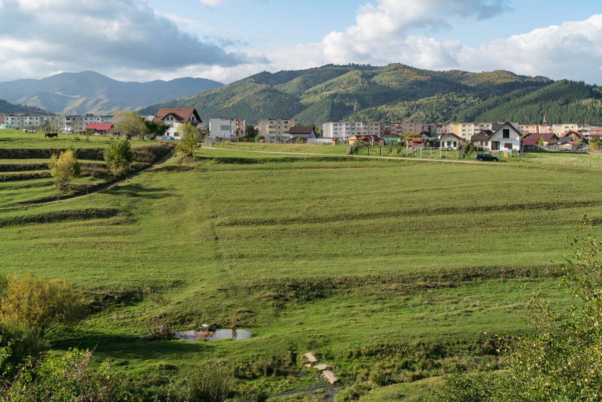 October 2025 - Journal by Tudor Prisăcariu